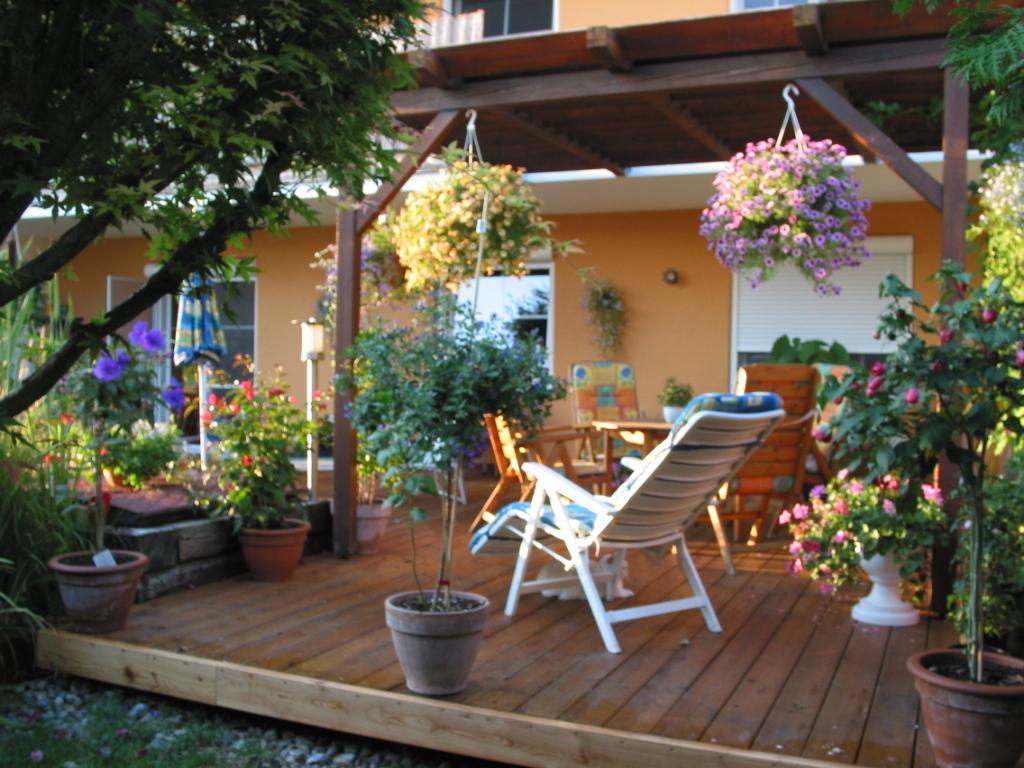 Was wächst bei euch auf fensterbank, balkon und terrasse ? [archiv ...