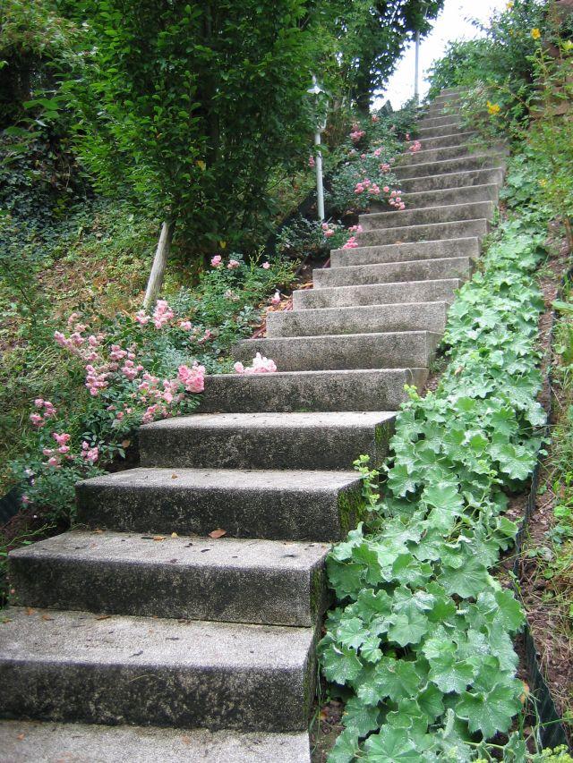 Grundstück Steilhang Mein schöner Garten Forum