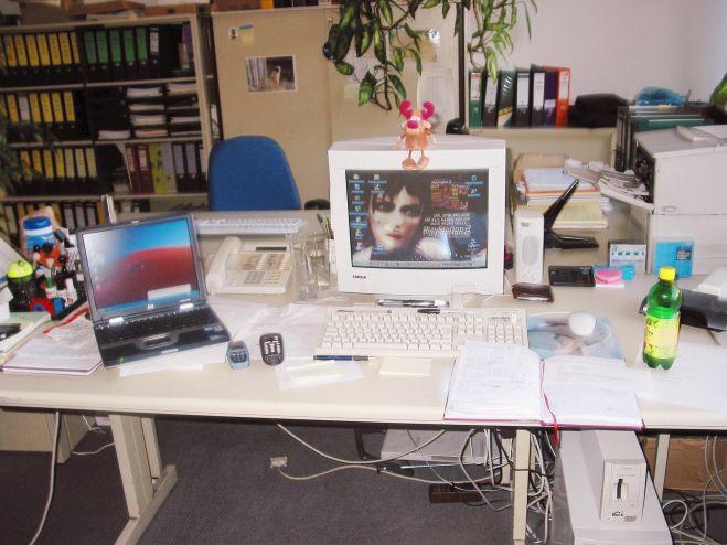 Bild