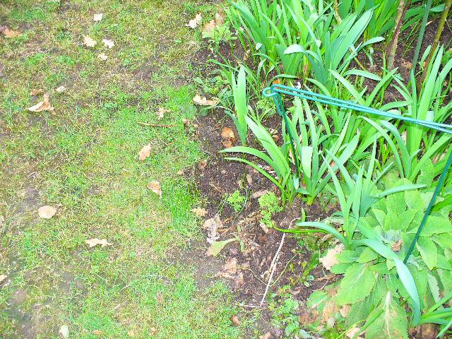 Wie sehen Eure Rasenkanten aus? - Mein schöner Garten Forum