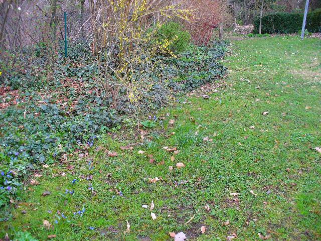 Wie sehen Eure Rasenkanten aus? - Mein schöner Garten Forum