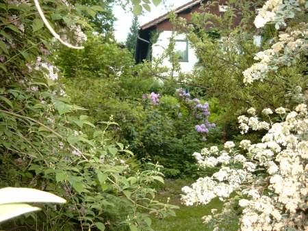 Wie sehen Eure Rasenkanten aus? - Mein schöner Garten Forum