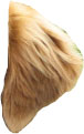 aers6irjpf09phxz4.jpg