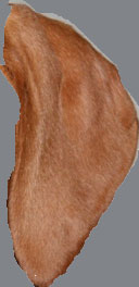 aesn9or2fkcd2p36o.jpg