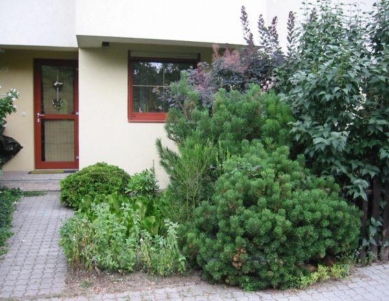 Vorgarten - Umgestaltung - Mein schöner Garten Forum