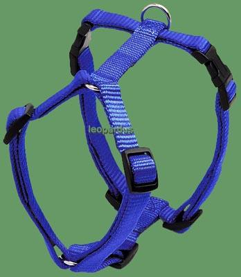 agc43m7acdm5c0id6.jpg