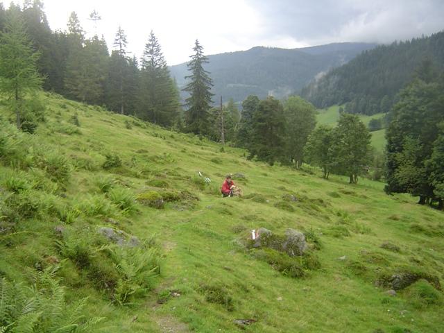 agoi1sx5ac4agyzeo.jpg