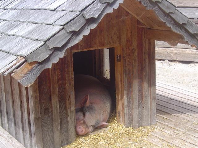 agojfnf2w37o09x34.jpg