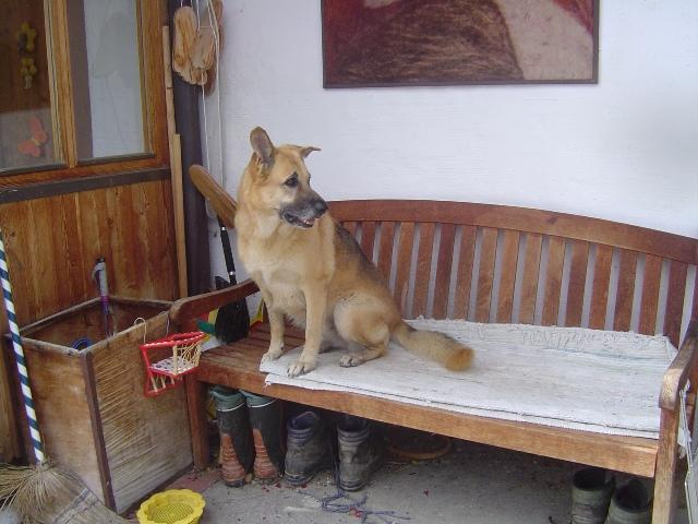 agpdksugk317qmfuo.jpg