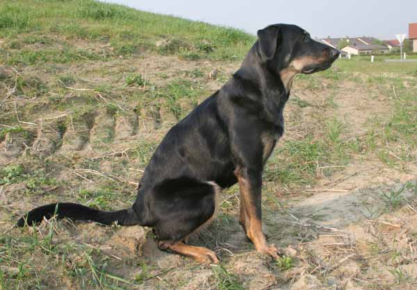 agpifwdzi5411vhci.jpg
