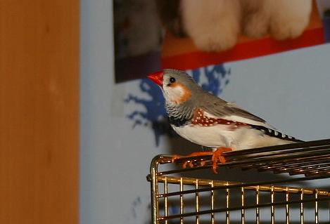 agpjq6scso1b1hh8y.jpg