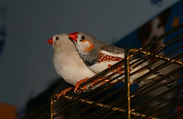 agpjv23n9gwdfvhqq.jpg