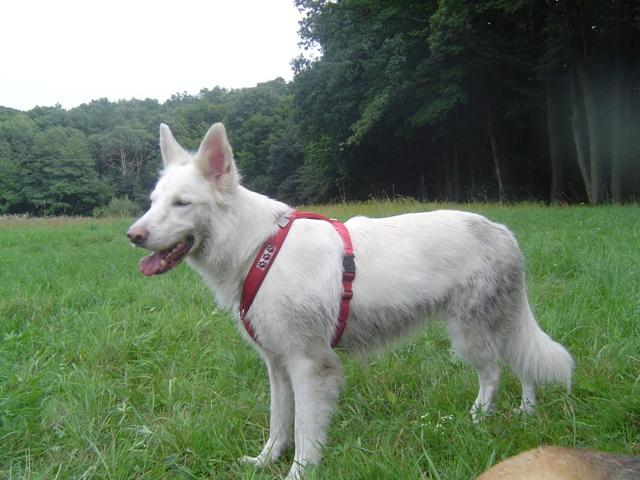 agskf46qg8h6kxwow.jpg