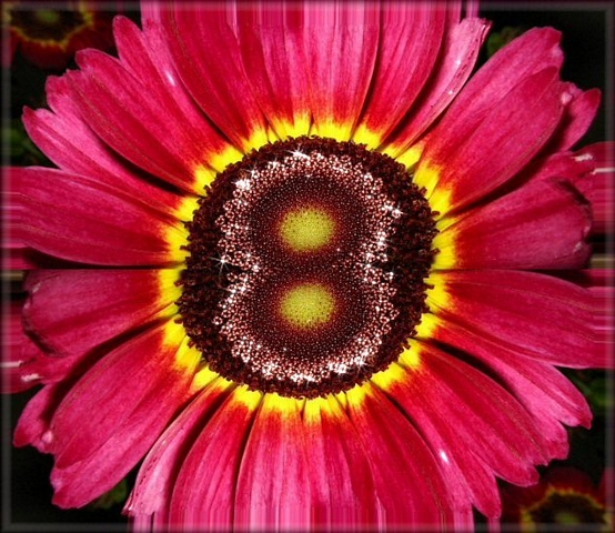 agtqys23by0vj0ulc.jpg