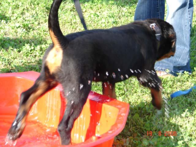 agua8uh2p4hiw4ha6.jpg