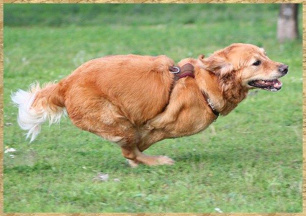 agy4a71k7wna0tami.jpg
