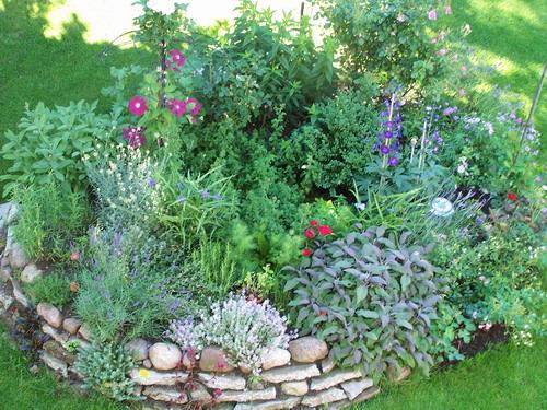 Kräuterbeete - Mein schöner Garten Forum