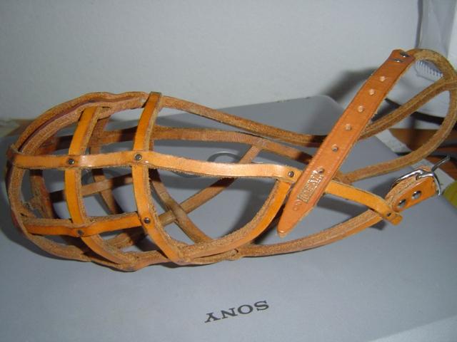 ahaid1kg3t22kk7nk.jpg