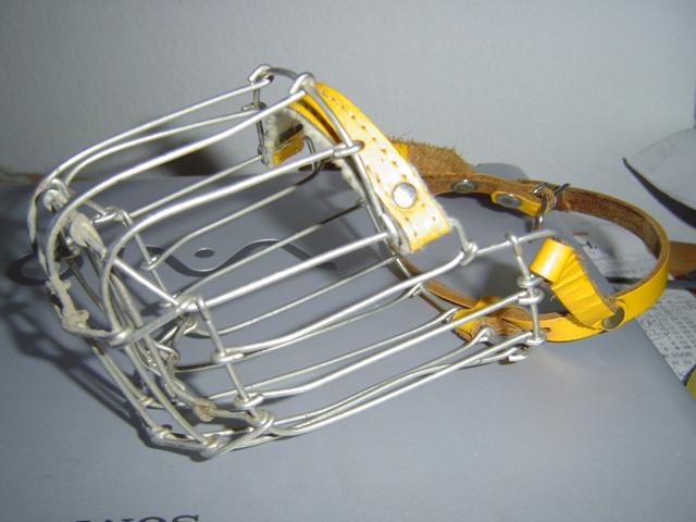 ahaie7o97umis52gw.jpg