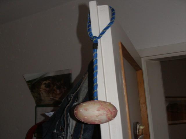 ahct9w87byr7th6bg.jpg