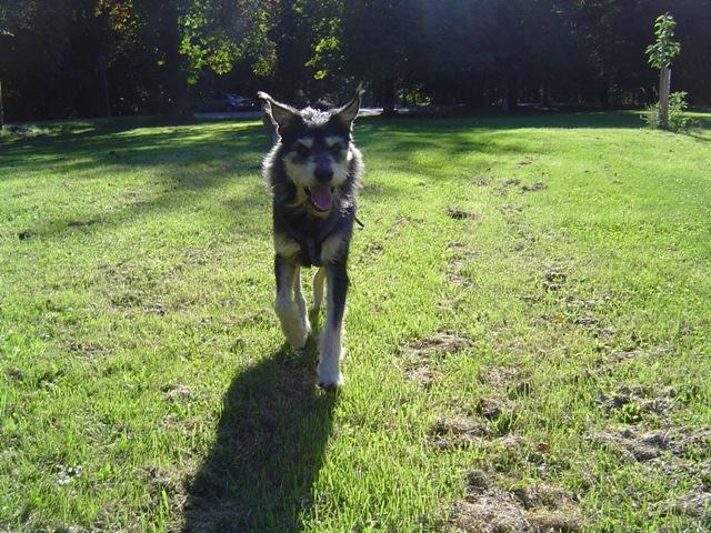 ahdwypsxyk946rphc.jpg
