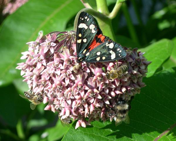 ahkwcjnmk53705n7s.jpg