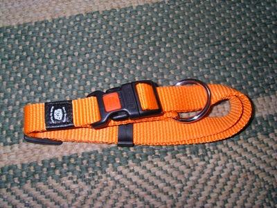 ahptfw4pk10hyel0k.jpg