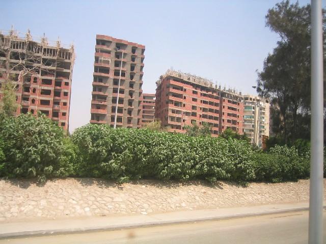 ahvzjq56axh1n1liw.jpg