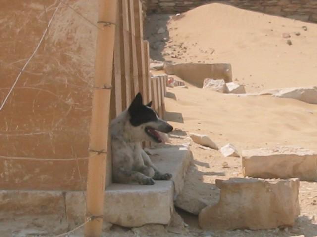 ahvznlfxo3efy1bg8.jpg