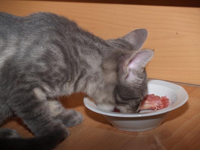 ahz22o0y0cvt66n38.jpg