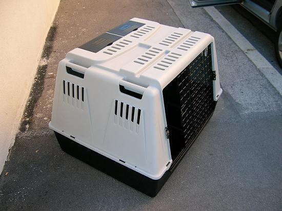 ai141w380mv6uqrfr.jpg