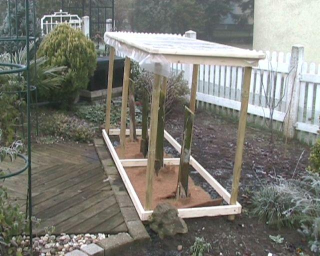 Überwinterung Banane Mein schöner Garten Forum