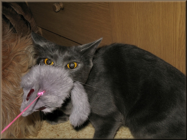 aiahbbcjlnm8hlcts.jpg