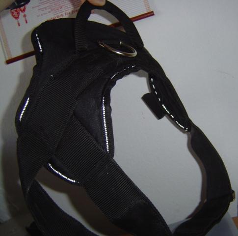 aib2smq0axmi8enr4.jpg