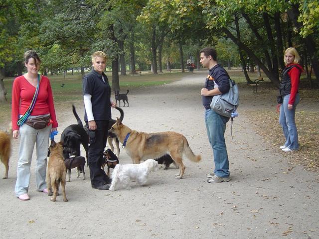 aidg6d0051f8uagg0.jpg