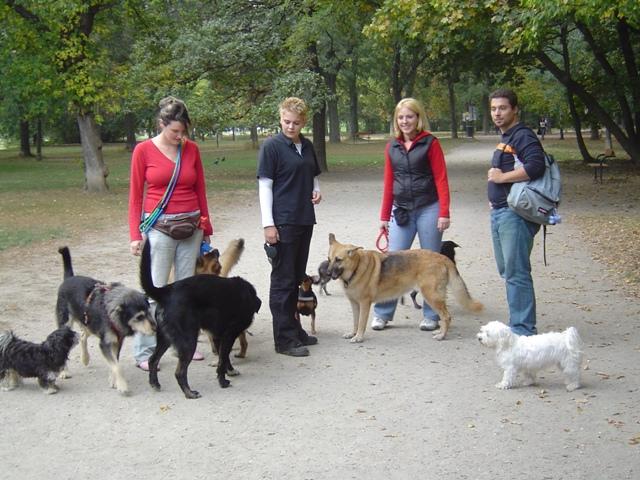 aidg6yam9szm28jpc.jpg