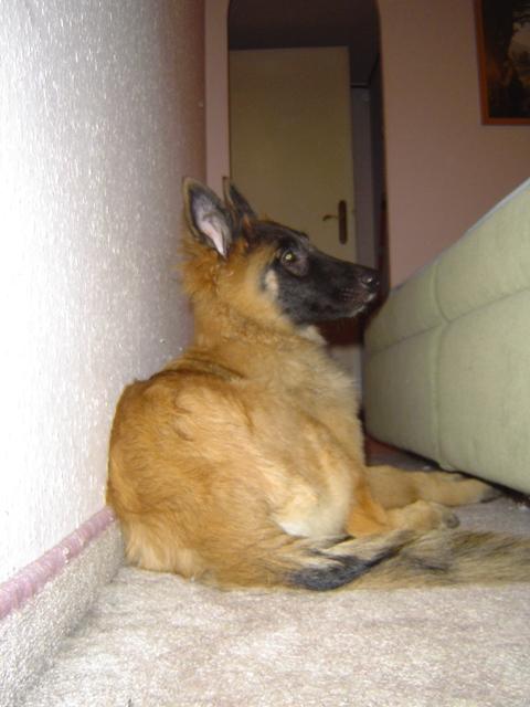 aie5hhq65iuanznb4.jpg