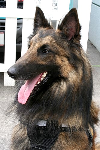 aie9h1vhw926shela.jpg