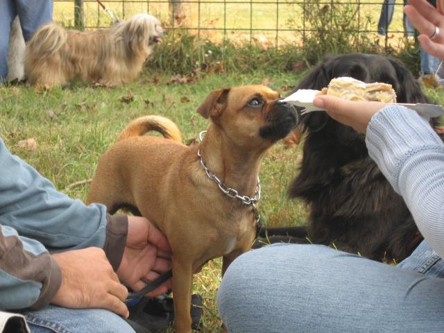 ailfocnzeqjaxk9t9.jpg