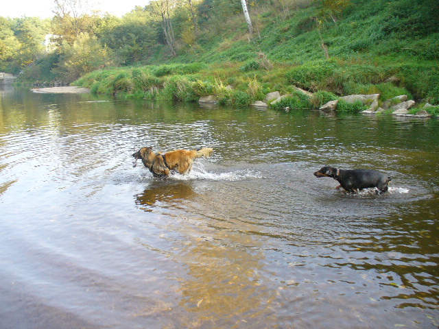 ailhs4zw1w2hju9r6.jpg