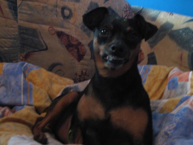 aiphd7tlfhrc5u7ql.jpg