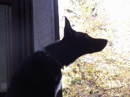 aippug6iantw7z730.jpg