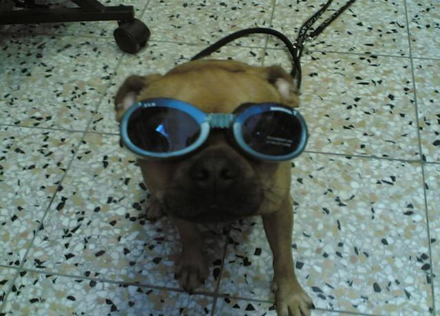 aiq2vau4qxb8w3bqw.jpg