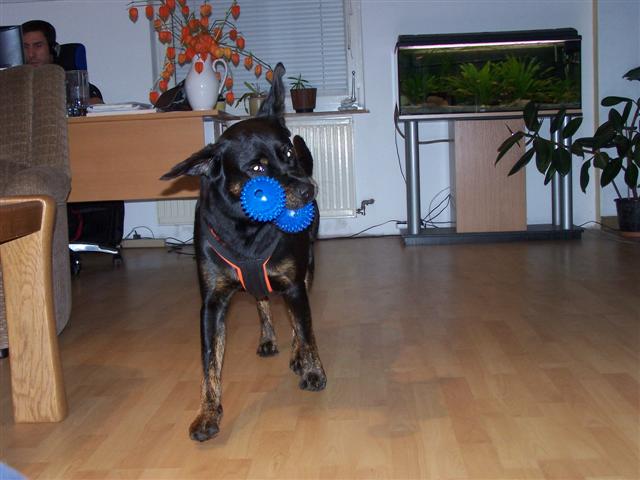 aiqd91imv14bw6338.jpg