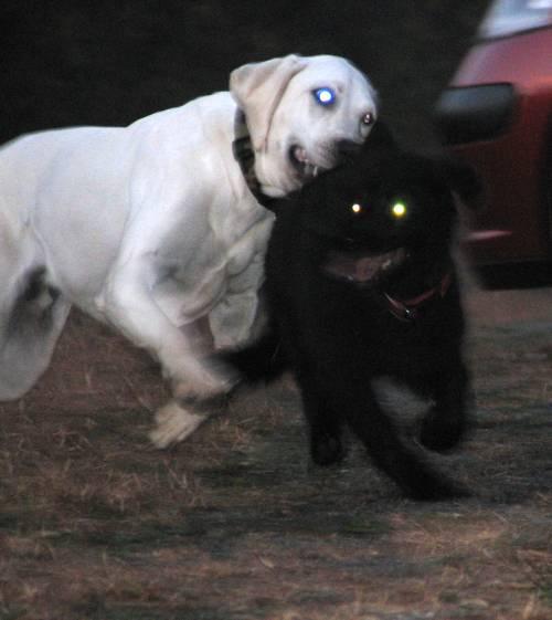 aiu88in2yhcihfani.jpg
