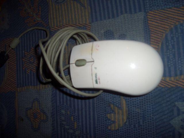 aj6qauwb9f3b2j6db.jpg