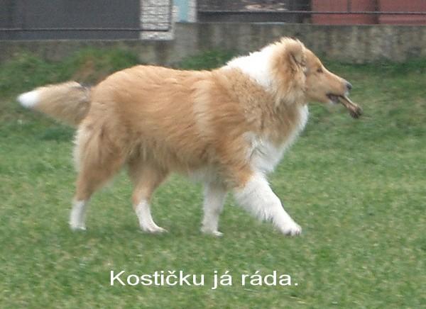 ak7009z7x4h3e39mu.jpg