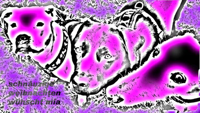akc8kqs2l6kclqlnx.jpg