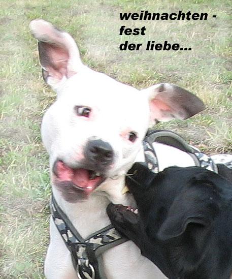 akc9gz2nbobzxauct.jpg