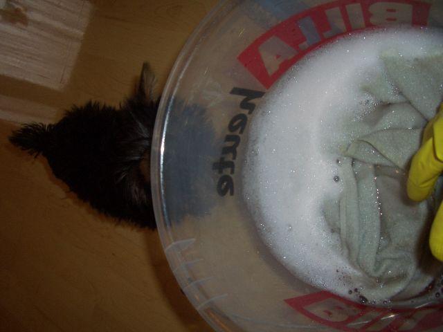 akd0nfur3yc0ib8h5.jpg